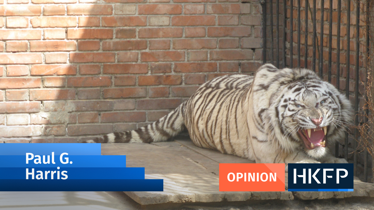 As China rises, so does the suffering of billions of animals of many species